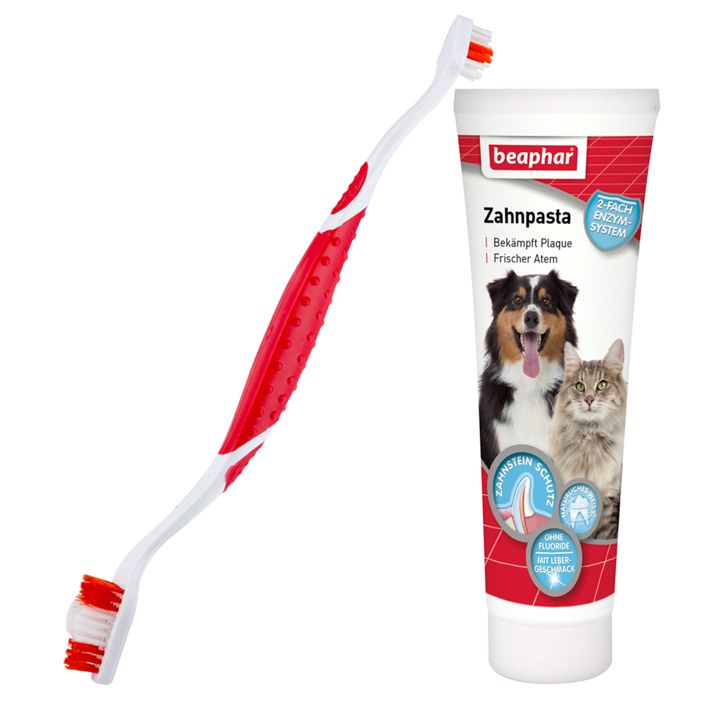 Lot brosse a dent beaphar + 100g de dentifrice pour chien et